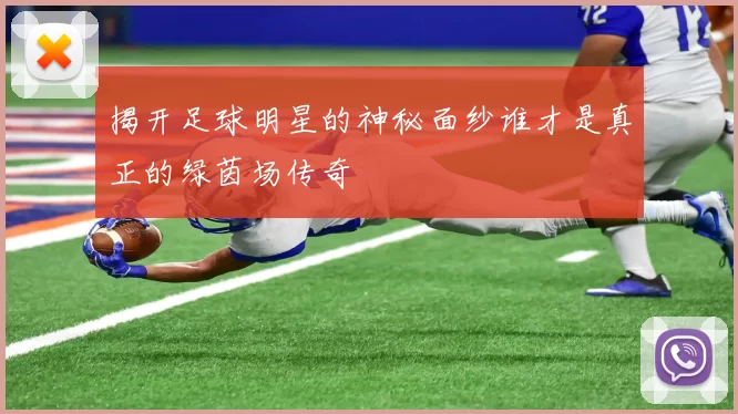 揭开足球明星的神秘面纱谁才是真正的绿茵场传奇