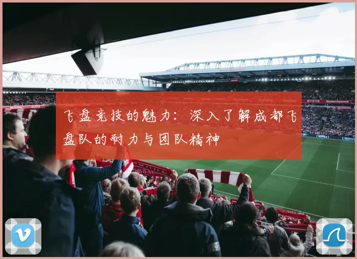 飞盘竞技的魅力：深入了解成都飞盘队的耐力与团队精神