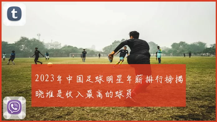 2023年中国足球明星年薪排行榜揭晓谁是收入最高的球员