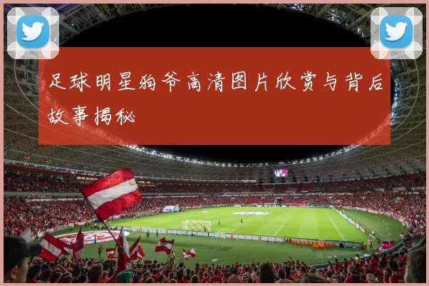 足球明星狗爷高清图片欣赏与背后故事揭秘