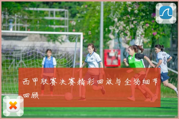 西甲联赛决赛精彩回放与全场细节回顾