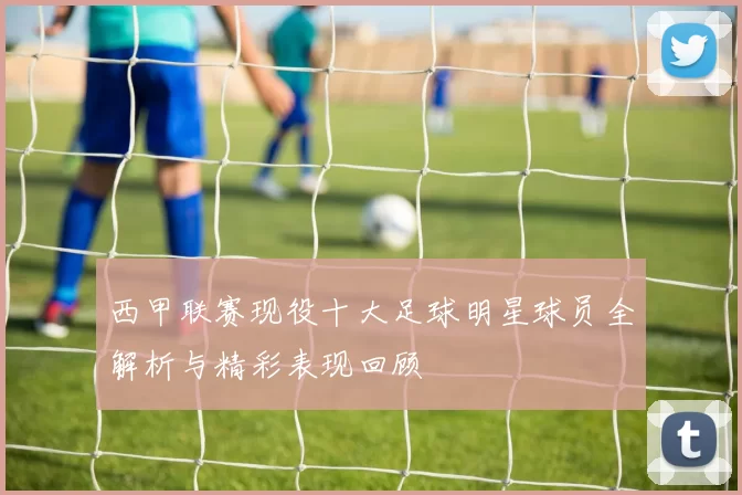 西甲联赛现役十大足球明星球员全解析与精彩表现回顾