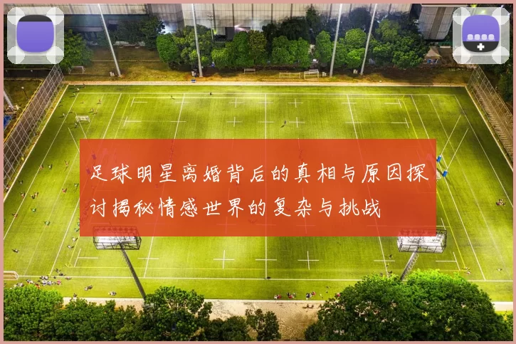 足球明星离婚背后的真相与原因探讨揭秘情感世界的复杂与挑战