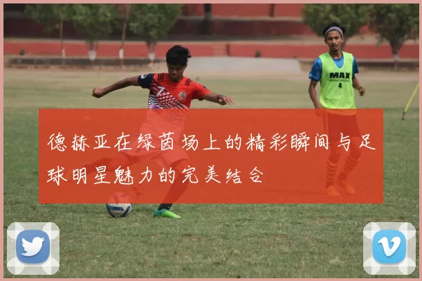 德赫亚在绿茵场上的精彩瞬间与足球明星魅力的完美结合