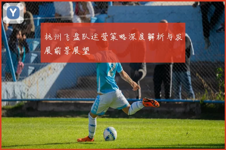 杭州飞盘队运营策略深度解析与发展前景展望