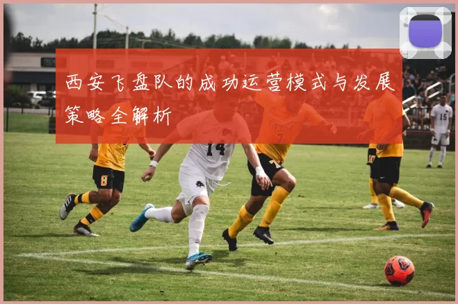 西安飞盘队的成功运营模式与发展策略全解析