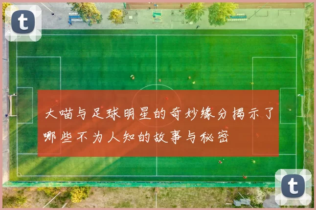 大喵与足球明星的奇妙缘分揭示了哪些不为人知的故事与秘密