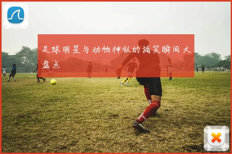 足球明星与动物神似的搞笑瞬间大盘点