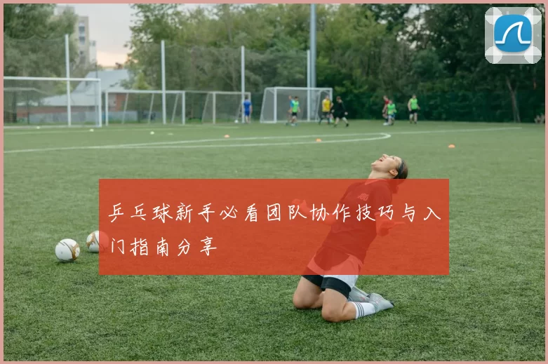乒乓球新手必看团队协作技巧与入门指南分享