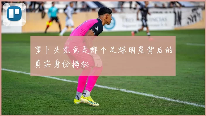 萝卜头究竟是哪个足球明星背后的真实身份揭秘