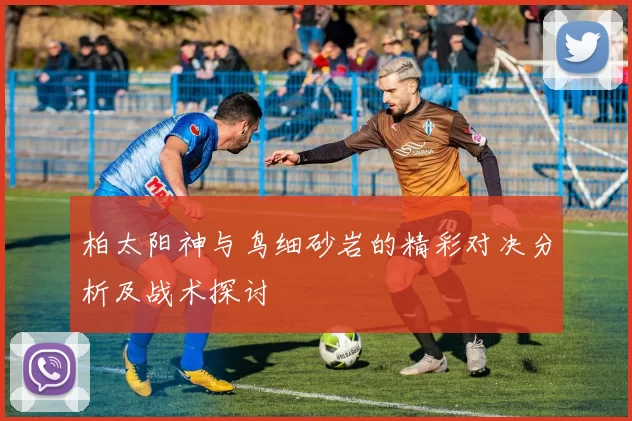 柏太阳神与鸟细砂岩的精彩对决分析及战术探讨