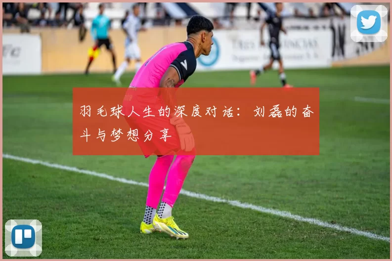 羽毛球人生的深度对话：刘磊的奋斗与梦想分享