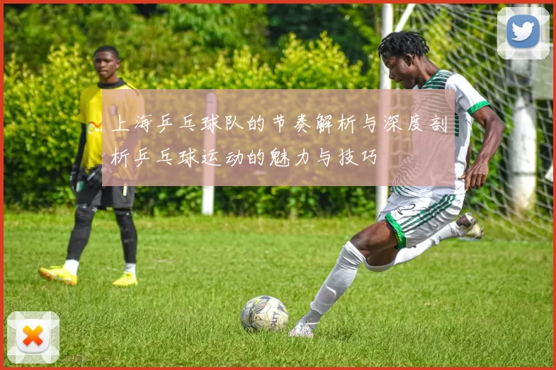 上海乒乓球队的节奏解析与深度剖析乒乓球运动的魅力与技巧