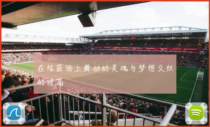 在绿茵场上舞动的灵魂与梦想交织的诗篇
