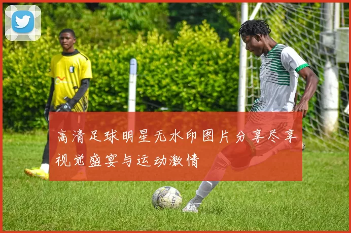 高清足球明星无水印图片分享尽享视觉盛宴与运动激情