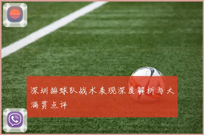 深圳排球队战术表现深度解析与大满贯点评