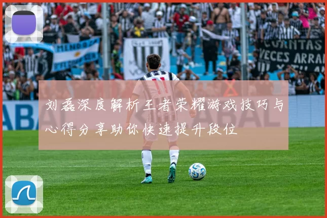 刘磊深度解析王者荣耀游戏技巧与心得分享助你快速提升段位