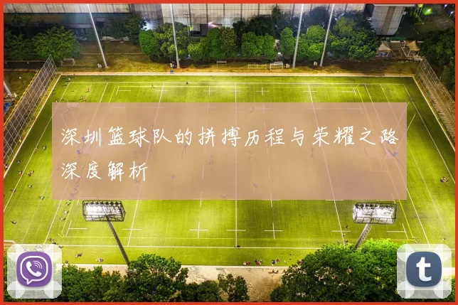 深圳篮球队的拼搏历程与荣耀之路深度解析