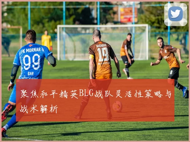 聚焦和平精英BLG战队灵活性策略与战术解析