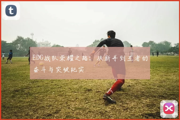 EDG战队荣耀之路：从新手到王者的奋斗与突破纪实