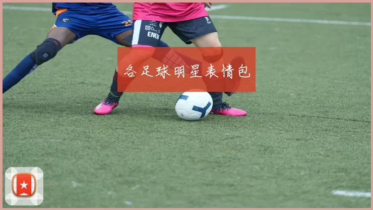 各足球明星表情包