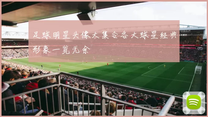 足球明星头像大集合各大球星经典形象一览无余