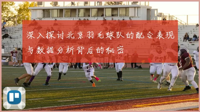 深入探讨北京羽毛球队的配合表现与数据分析背后的秘密
