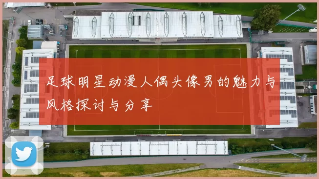 足球明星动漫人偶头像男的魅力与风格探讨与分享