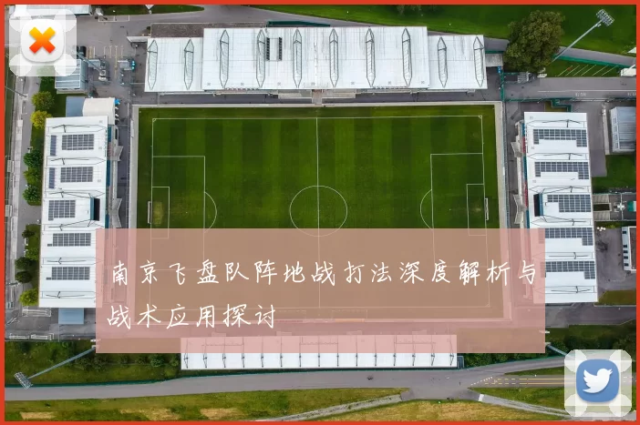 南京飞盘队阵地战打法深度解析与战术应用探讨