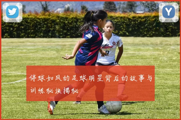 停球如风的足球明星背后的故事与训练秘诀揭秘