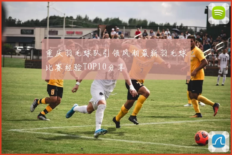 重庆羽毛球队引领风潮最新羽毛球比赛经验TOP10分享