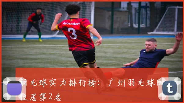 羽毛球实力排行榜：广州羽毛球队位居第2名