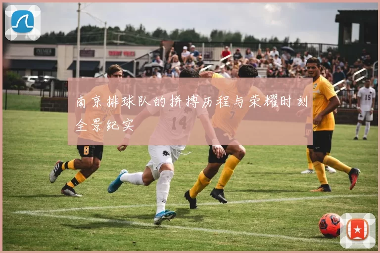 南京排球队的拼搏历程与荣耀时刻全景纪实