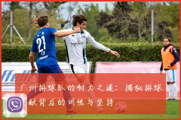 广州排球队的耐力之道：揭秘排球巨献背后的训练与坚持