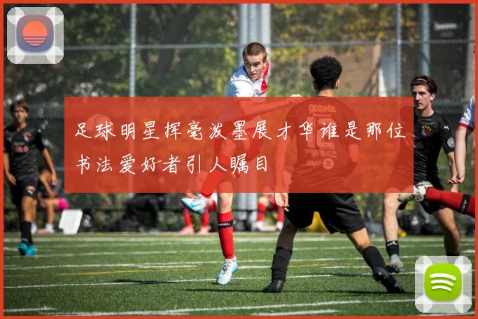 足球明星挥毫泼墨展才华谁是那位书法爱好者引人瞩目