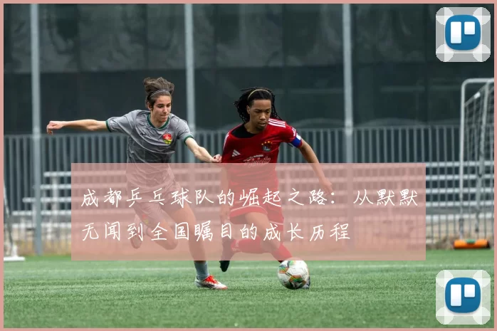 成都乒乓球队的崛起之路：从默默无闻到全国瞩目的成长历程