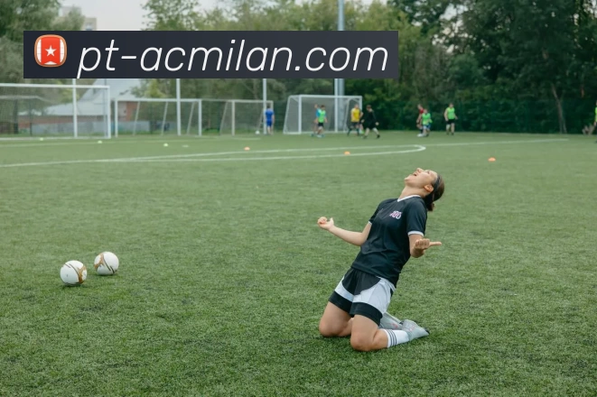 ac米兰官网平台生态图